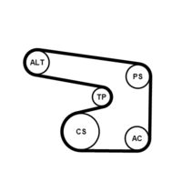 CONTINENTAL CTAM 6PK1900K1 - Juego de correas trapeciales poli V