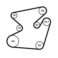 CONTINENTAL CTAM 6PK1950K1 - Juego de correas trapeciales poli V