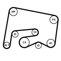 CONTINENTAL CTAM 6PK2155K1 - Juego de correas trapeciales poli V