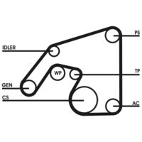 CONTINENTAL CTAM 6PK2380D1 - Juego de correas trapeciales poli V