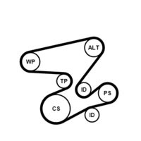 CONTINENTAL CTAM 6PK2080K1 - Juego de correas trapeciales poli V