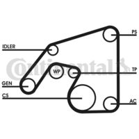 CONTINENTAL CTAM 6PK2390D1 - Juego de correas trapeciales poli V