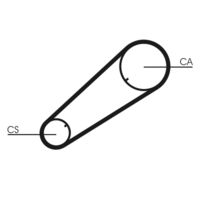 CONTINENTAL CTAM CT1004 - Correa dentada
