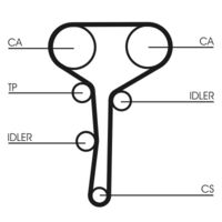 CONTINENTAL CTAM CT1007 - Correa dentada