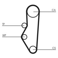 CONTINENTAL CTAM CT525 - Correa dentada