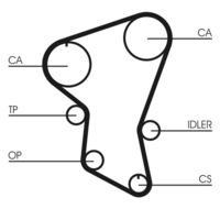 CONTINENTAL CTAM CT516 - Correa dentada