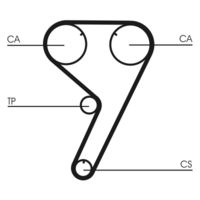 CONTINENTAL CTAM CT608 - Correa dentada