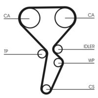 CONTINENTAL CTAM CT1179 - Correa dentada