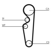 CONTINENTAL CTAM CT729 - Correa dentada