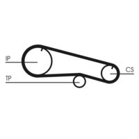 CONTINENTAL CTAM CT668 - Correa dentada