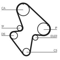 CONTINENTAL CTAM CT710 - Correa dentada