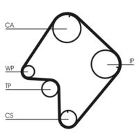 CONTINENTAL CTAM CT832 - Correa dentada