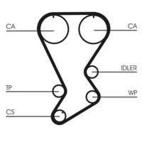 CONTINENTAL CTAM CT812 - Correa dentada