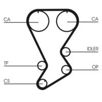 CONTINENTAL CTAM CT875 - Correa dentada