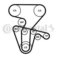CONTINENTAL CTAM CT877WP4PRO - Bomba de agua + kit correa distribución