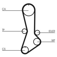 CONTINENTAL CTAM CT765 - Correa dentada