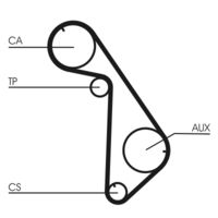 CONTINENTAL CTAM CT825 - Correa dentada