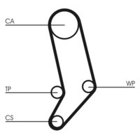 CONTINENTAL CTAM CT939 - Correa dentada