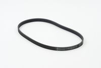 CONTINENTAL CTAM 4PK735 - Correa trapecial poli V