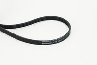 CONTINENTAL CTAM 4PK800 - Correa trapecial poli V