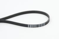 CONTINENTAL CTAM 4PK855 - Correa trapecial poli V