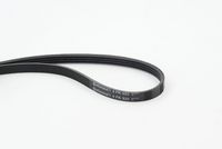 CONTINENTAL CTAM 4PK648 - Correa trapecial poli V