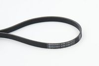 CONTINENTAL CTAM 5PK1125 - Correa trapecial poli V