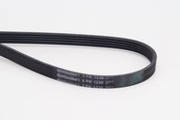 CONTINENTAL CTAM 5PK1230 - Correa trapecial poli V