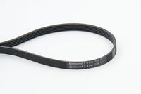 CONTINENTAL CTAM 5PK1125 - Correa trapecial poli V