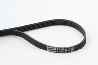 CONTINENTAL CTAM 5PK1145 - Correa trapecial poli V