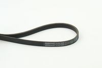 CONTINENTAL CTAM 5PK1200 - Correa trapecial poli V