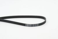 CONTINENTAL CTAM 5PK1212 - Correa trapecial poli V