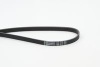 CONTINENTAL CTAM 5PK1212 - Correa trapecial poli V