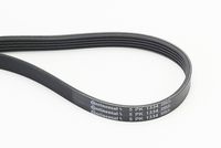 CONTINENTAL CTAM 5PK1334 - Correa trapecial poli V