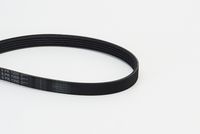 CONTINENTAL CTAM 5PK1355 - Correa trapecial poli V