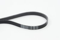 CONTINENTAL CTAM 5PK1592 - Correa trapecial poli V