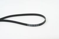 CONTINENTAL CTAM 5PK1750 - Correa trapecial poli V