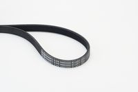 CONTINENTAL CTAM 5PK868 ELAST - Correa trapecial poli V