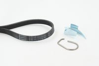 CONTINENTAL CTAM 5PK716 ELAST T1 - Juego de correas trapeciales poli V