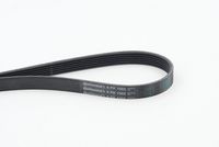 CONTINENTAL CTAM 6PK1005 - Correa trapecial poli V