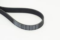 CONTINENTAL CTAM 6PK1034EXTRA - Correa trapecial poli V