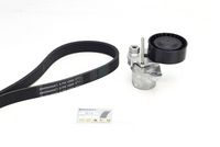 CONTINENTAL CTAM 6PK1000 - Correa trapecial poli V