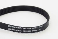 CONTINENTAL CTAM 6PK1004 EXTRA - Correa trapecial poli V