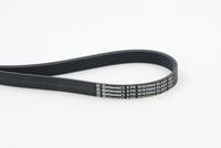 CONTINENTAL CTAM 6PK1019 ELAST - Correa trapecial poli V