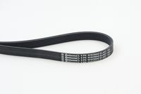 CONTINENTAL CTAM 6PK1019 ELAST - Correa trapecial poli V