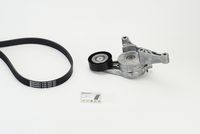 CONTINENTAL CTAM 6PK1050K1 - Juego de correas trapeciales poli V