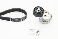 CONTINENTAL CTAM 6PK1070K3 - Juego de correas trapeciales poli V