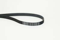 CONTINENTAL CTAM 6PK1073 EXTRA - Correa trapecial poli V