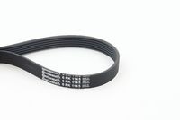 CONTINENTAL CTAM 6PK1145 - Correa trapecial poli V