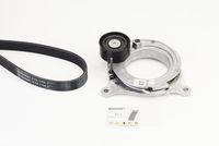 CONTINENTAL CTAM 6PK1165 - Correa trapecial poli V
